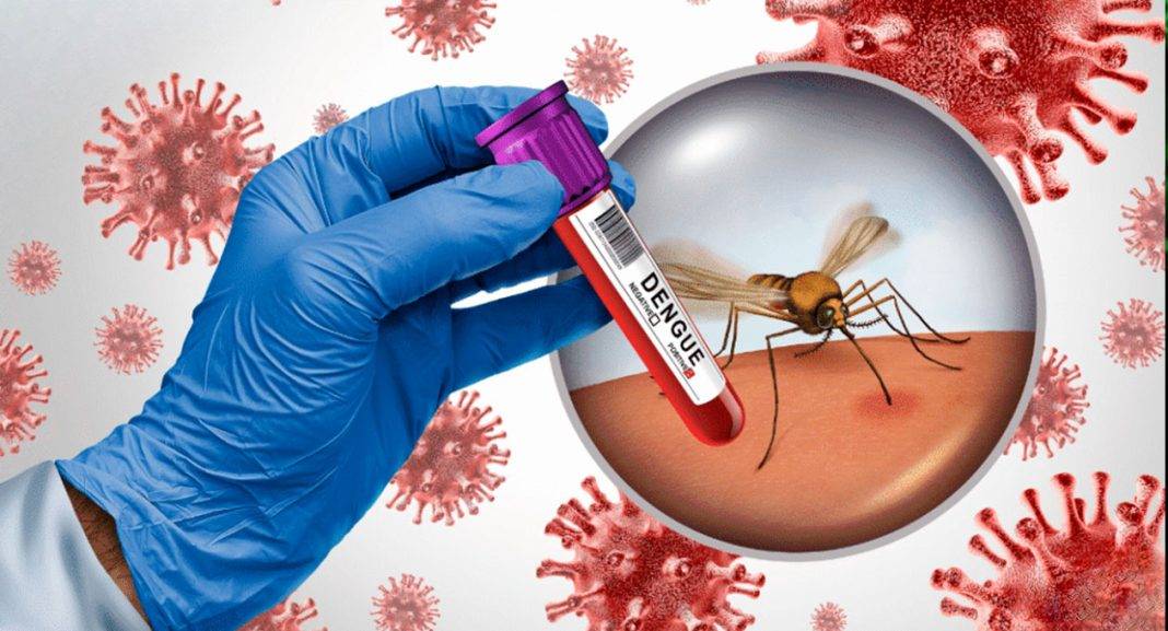 dengue