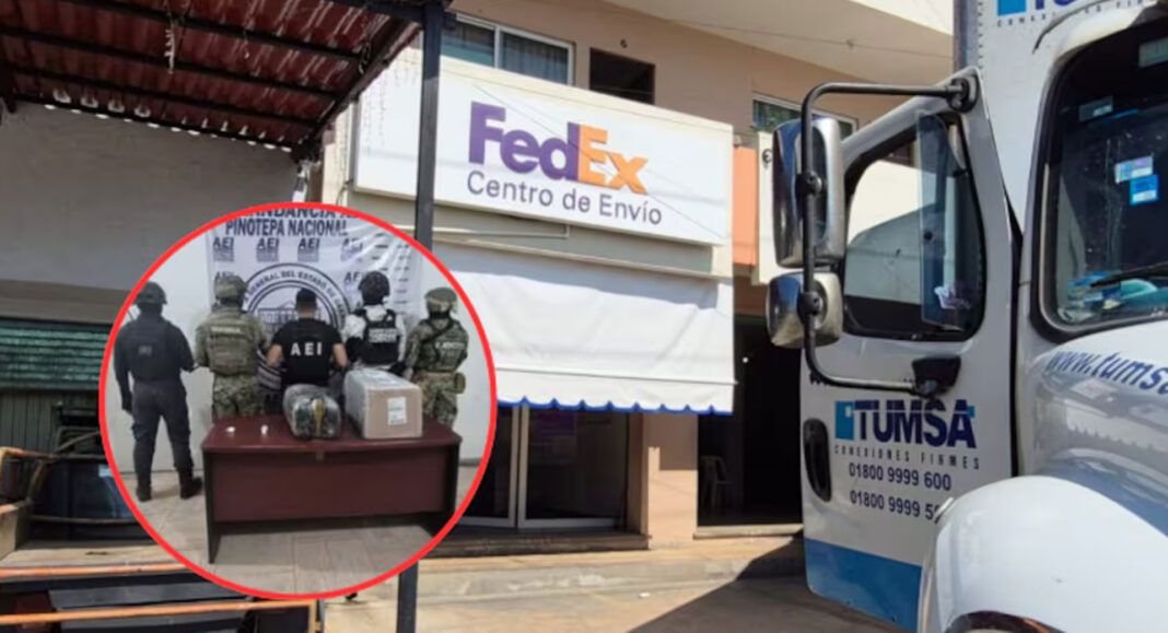 Aseguran paquete con droga durante cateo en sucursal de mensajería en Pinotepa Nacional