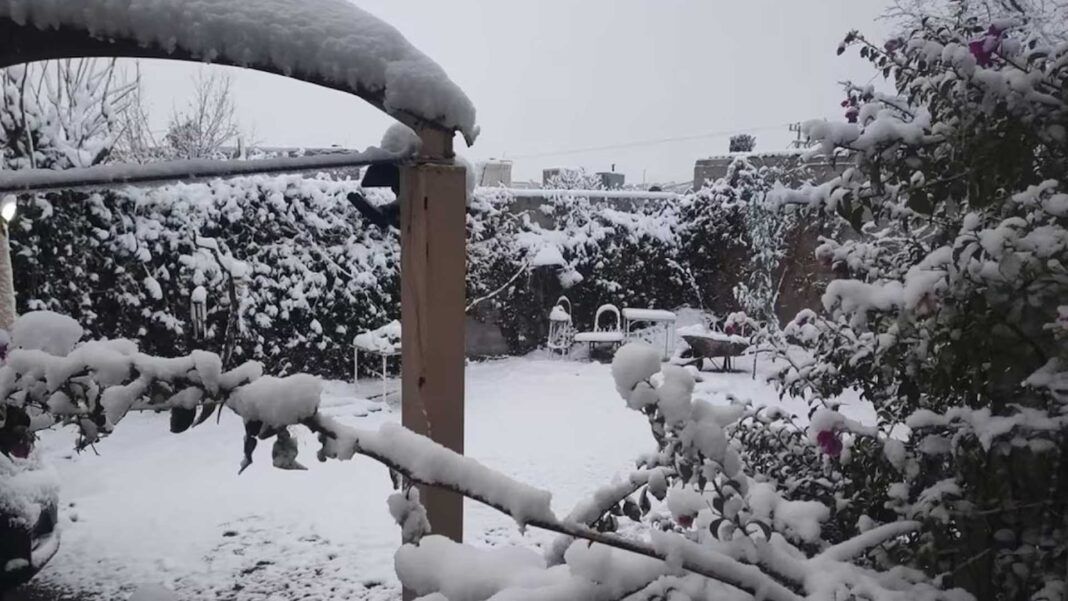 Clima gélido ‘invade’ México con tormenta invernal y 2 frentes fríos: ¿Qué estados se ‘harán paleta’?