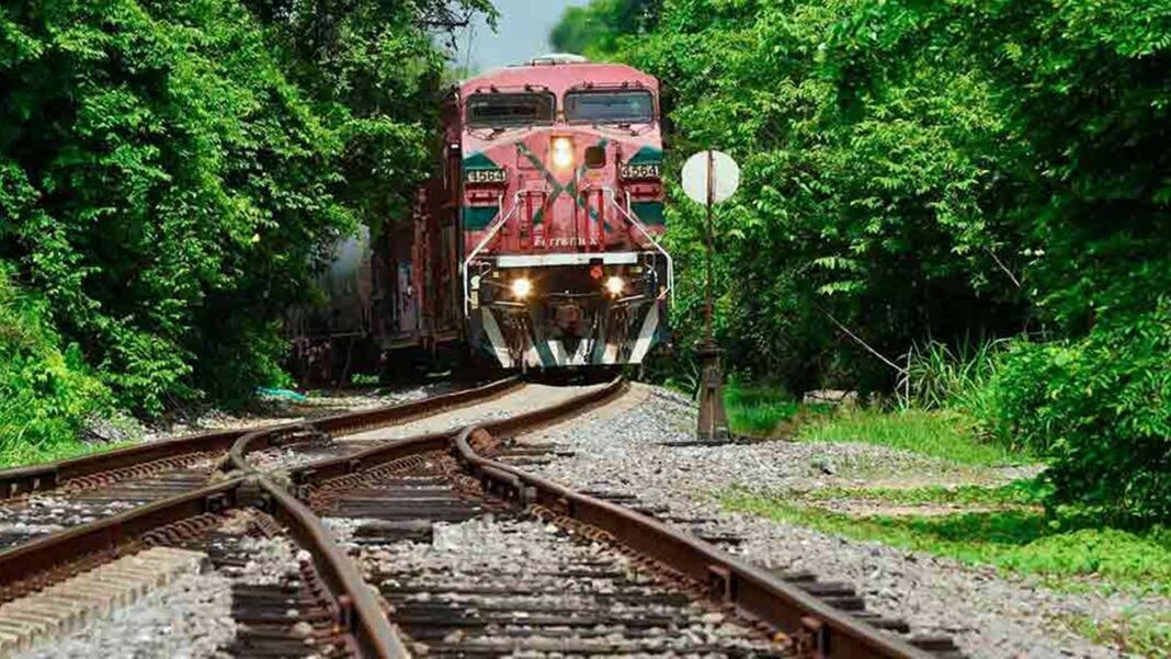 Sólo un paso de fauna en más de 130 km del Ferrocarril del Istmo, pese a ser corredor de especies en riesgo