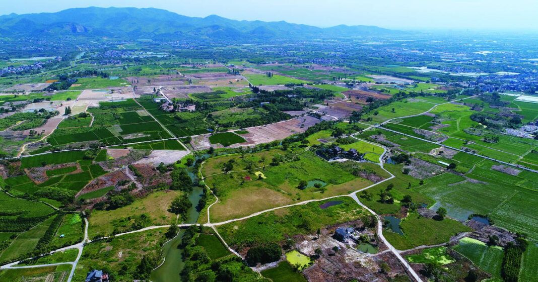 🌍 Intercambio cultural global: estreno del documental Liangzhu: Un diálogo entre civilizaciones del mundo