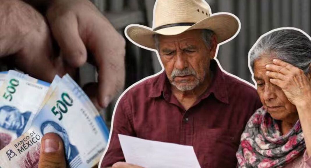 Buscan castigar con hasta 8 años de cárcel el robo de pensiones a adultos mayores