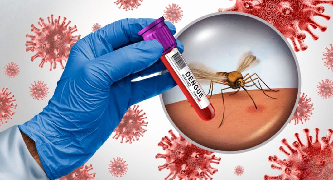 Repunte de dengue en Oaxaca: 217 casos nuevos y una defunción más