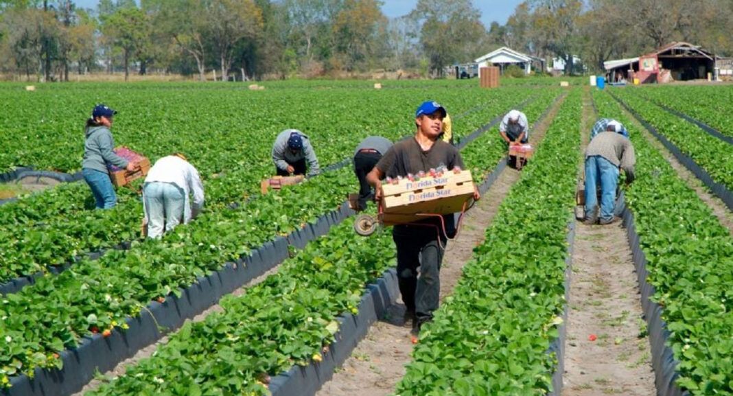 Gobierno de Trump triplica incentivo para migrantes que quieran salir de EU: ofrece tres mil dólares