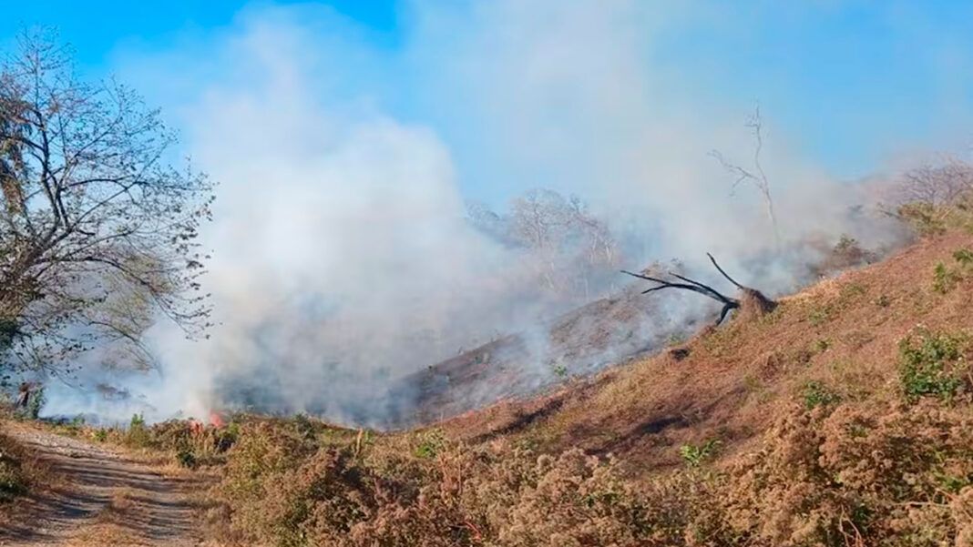 Suman incendios en Chimalapas; fuego consume bosque de pino en San Miguel
