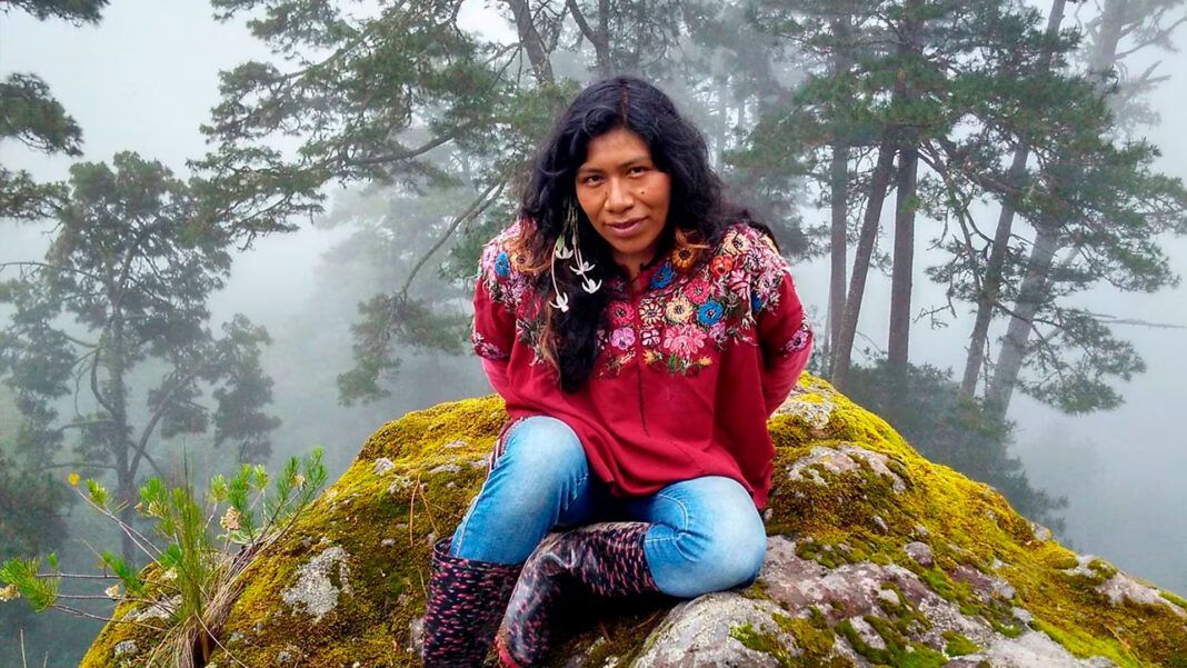 Cuatro años sin Irma Galindo; persiste la desaparición y el desplazamiento en la Mixteca